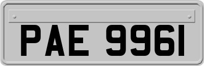 PAE9961