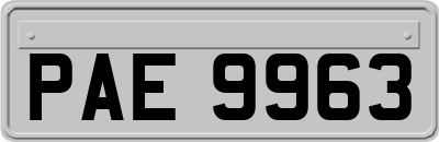 PAE9963