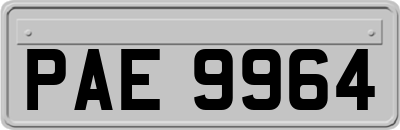 PAE9964