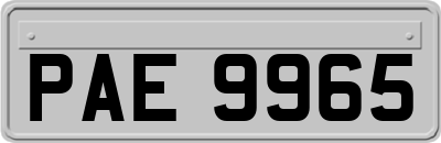 PAE9965
