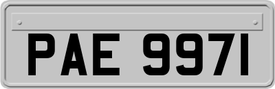 PAE9971