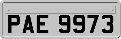 PAE9973