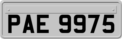 PAE9975