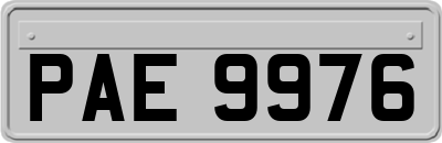 PAE9976