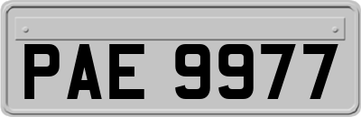 PAE9977
