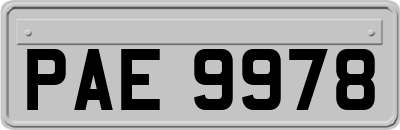 PAE9978