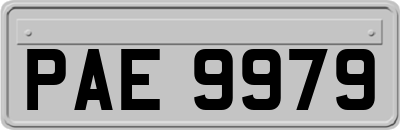 PAE9979
