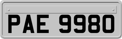 PAE9980