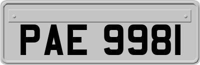 PAE9981