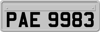 PAE9983