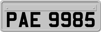 PAE9985