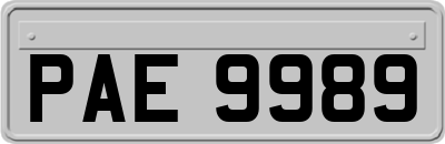 PAE9989