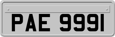 PAE9991