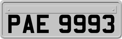 PAE9993