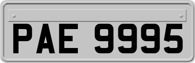 PAE9995
