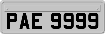PAE9999