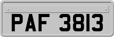 PAF3813
