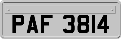 PAF3814