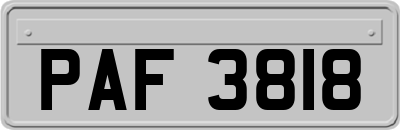 PAF3818