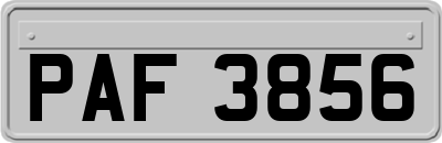 PAF3856