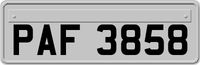 PAF3858