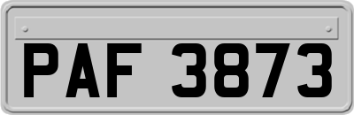 PAF3873