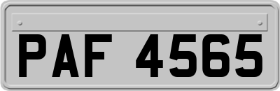 PAF4565
