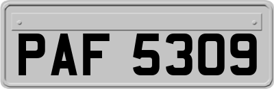 PAF5309