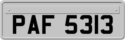 PAF5313