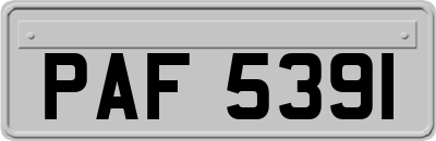 PAF5391