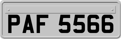 PAF5566