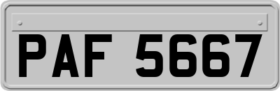 PAF5667