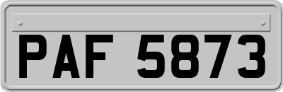 PAF5873