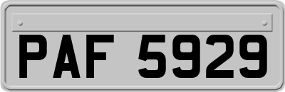 PAF5929