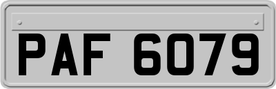 PAF6079