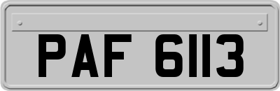 PAF6113