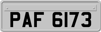 PAF6173