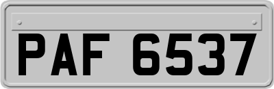 PAF6537