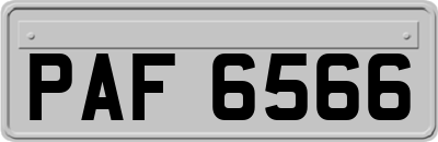 PAF6566