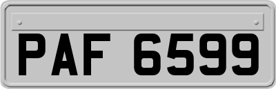 PAF6599