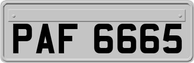 PAF6665