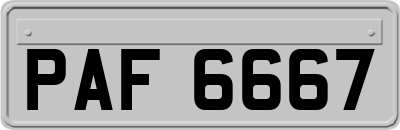 PAF6667