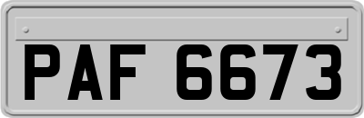 PAF6673