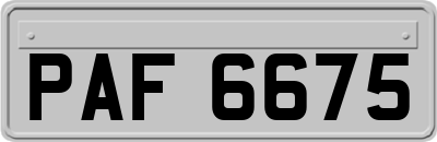 PAF6675