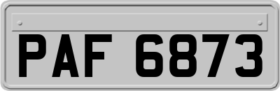 PAF6873