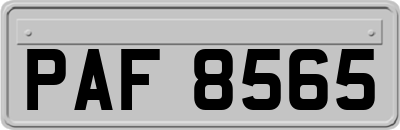 PAF8565