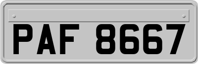 PAF8667