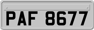 PAF8677