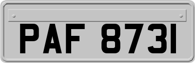 PAF8731