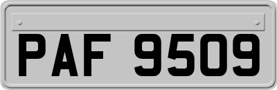 PAF9509